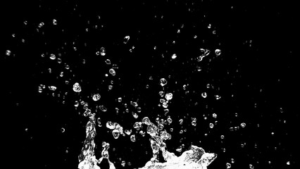 Water Splash Against Black: A mesmerizing and dynamic image of a forceful water splash against a dark, black background, capturing the ephemeral beauty of liquid in motion.