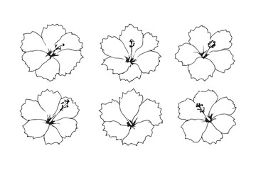 Hibiscus Leaf line art