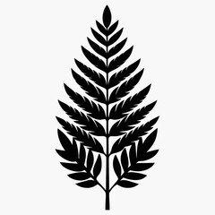 silhouette of a leaf