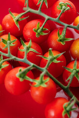 Fresh red cherry tomato on red background.