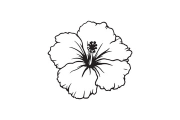 Fototapeta premium Hibiscus black line art