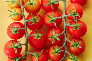Fresh red cherry tomato on yellow background.