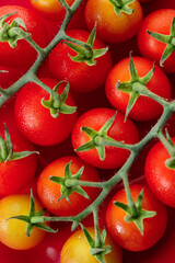 Fresh red cherry tomato on red background.