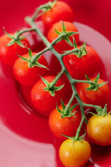 Fresh red cherry tomato on red background.