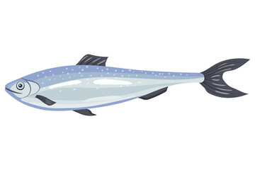 Herring fish, marine product icon