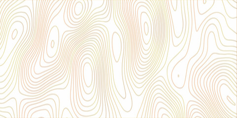 Abstract design with black and white abstract papercut and multi-layer cutout geometric pattern on vector Topographic canyon geometric map relief texture with curved layers beautiful design.	