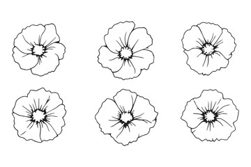 Set of 6 pec in two row  Hollyhock black line art on white background