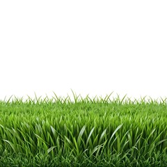 Fototapeta premium Lush Green Grass Border