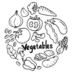 vegetables element doodle set. hand drawn sketch fruit and vegetables vector illustration	