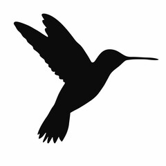 Black silhouette of a hummingbird in flight vector illustration, bird silhouettes with flying wings © mdanamulislamopu