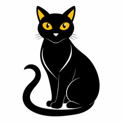 black and white cat