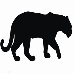 Wild animal vector illustration of a black lion or panther silhouette, a powerful mammal and predator