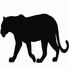 Wild animal vector illustration of a black lion or panther silhouette, a powerful mammal and predator