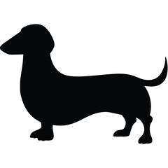 Cute cartoon vector illustration features a happy brown and white beagle dog, a black cat, and a dachshund puppy, isolated as pet animal drawings