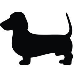 Cute cartoon vector illustration features a happy brown and white beagle dog, a black cat, and a dachshund puppy, isolated as pet animal drawings