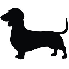 Cute cartoon vector illustration features a happy brown and white beagle dog, a black cat, and a dachshund puppy, isolated as pet animal drawings