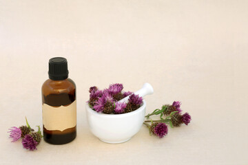 Milk thistle herb natural herbal medicine with essential oil bottle and mortar on hemp paper background. Alternative detox treatment for liver support.