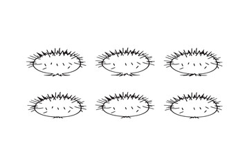 Horse Chestnut line art