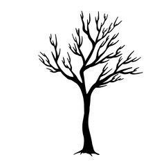 Dry tree line art