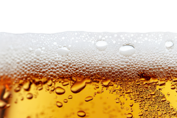 Close-up of golden beer with foam and bubbles, isolated on transparent cutout background