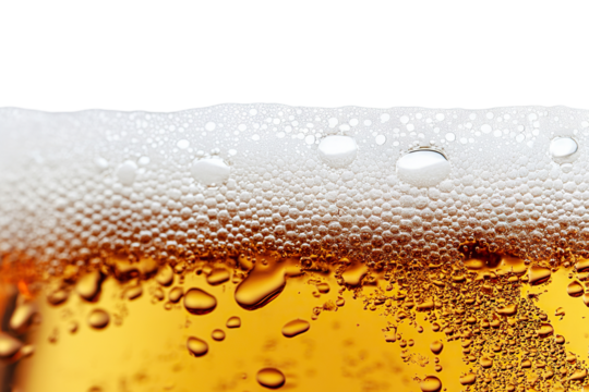 Close-up of golden beer with foam and bubbles, isolated on transparent cutout background