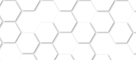 Abstract background with white color hexagons and seamless pattern vector design . luxury white pattern geometric mesh cell texture .honeycomb 3d background texture design .