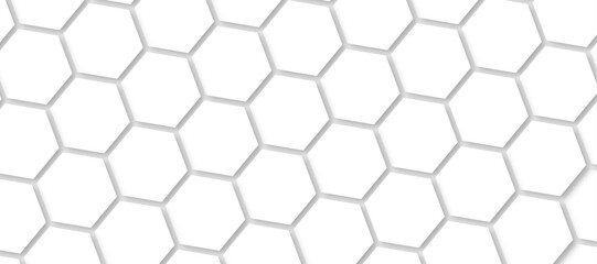 Abstract background with white color hexagons and seamless pattern vector design . luxury white pattern geometric mesh cell texture .honeycomb 3d background texture design .