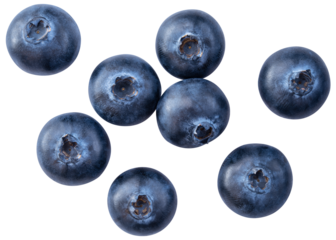 Blueberry isolated png. Blueberry top view on white or transparent background. Perfect retouched blueberry no background. Png blueberries collection. Full depth of field.