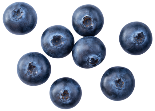 Blueberry isolated png. Blueberry top view on white or transparent background. Perfect retouched blueberry no background. Png blueberries collection. Full depth of field.