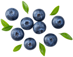 Blueberry isolated png. Blueberry with leaf top view on transparent background. Perfect retouched blueberry with leaves no background. Png blueberries collection. Full depth of field.