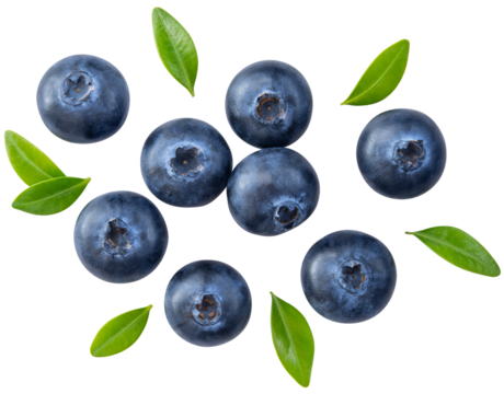 Blueberry isolated png. Blueberry with leaf top view on transparent background. Perfect retouched blueberry with leaves no background. Png blueberries collection. Full depth of field.