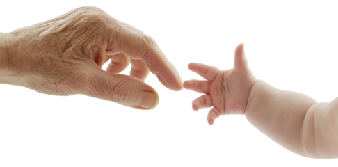 Baby hand touching elderly hand, symbolizing connection, isolated on transparent cutout background