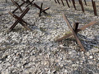 Czech hedgehogs deployed at forest in the Russia © Vlad Ivantcov