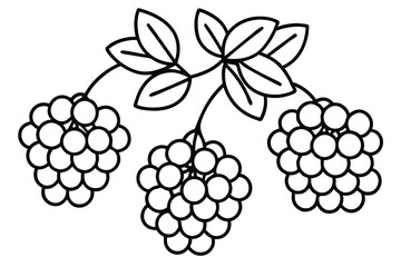 elderberry line art natural health and wellness symbol