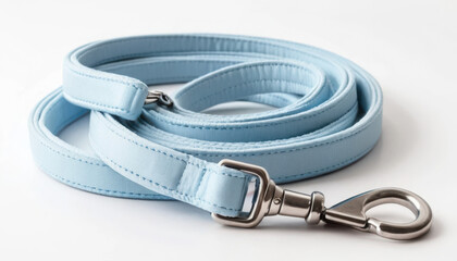 light blue dog leash with metal clip, stylish and durable