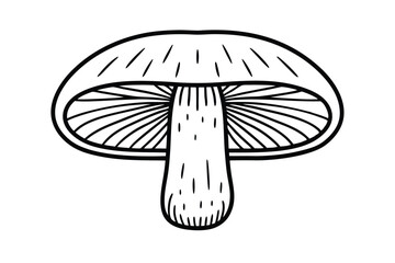 Monochrome Edible Mushroom Outline Illustration Featuring Cap Gills And Stem For Botanical Educational Or Culinary Themed Designs