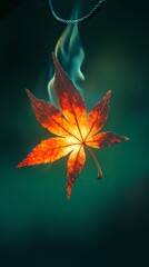 Burning Maple Leaf