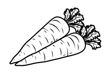 Two Carrots With Leaves Hand Drawn Vector Illustration Isolated On White Background Vegetable Outline Style Graphic Resource