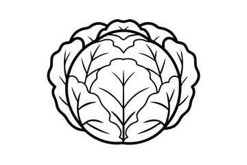 Obraz premium Cabbage Vegetable Vector Line Art Fresh Farm Produce Healthy Eating Vegan Diet Ingredient Simple Outline Illustration