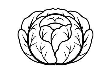 Isolated Cabbage Head Line Art Vector Illustration Design Element For Culinary Projects And Healthy Eating Concepts