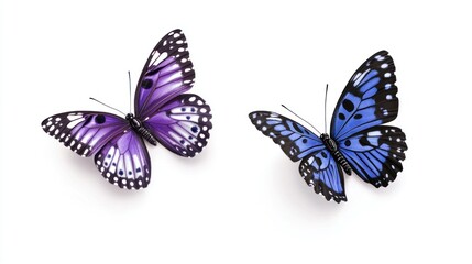 Fototapeta premium Two realistic butterflies
