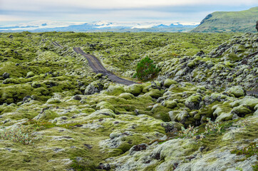 laufsk&aacute;lavar&eth;a lava field near V&iacute;k &iacute; M&yacute;rdal with glacier, Iceland, Europe, Icelandic nature,  Icelandic landscape