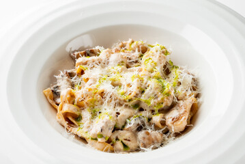 A bowl of creamy pasta is topped with grated cheese and vibrant green herbs. The dish showcases a rich and delicious combination that emphasizes Italian cuisine’s elegance and flavor.
