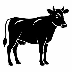 black and white goat