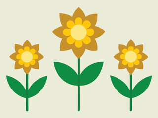 sunflower on white background