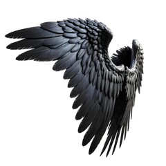 Black Angel Wings, Isolated on White