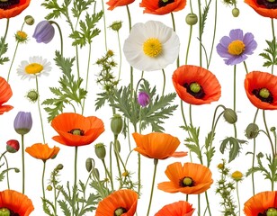 Fototapeta premium Seamless Pattern of Vibrant Wildflowers and Poppies