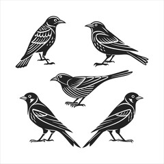 Set of Six Bird Silhouettes – Black and White Minimalist Bird Vector.
