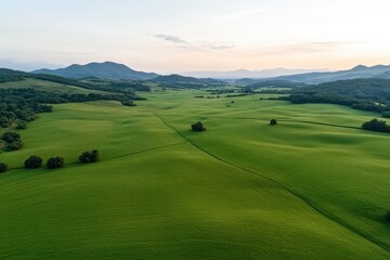 Naklejka premium Expansive Green Fields Covering Rural Farmland
