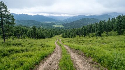 Obraz premium winding dirt path leads through lush green grass and trees, surrounded by mountains cloudy sky